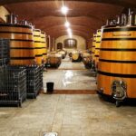 Barolo&Barbaresco wine tour with a local winemaker - Wineries and Tastings: What to Expect