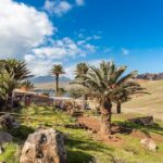 Basic Tour 1 - Cais do Sardinha to Quinta do Lorde (one way) - What the Reviews Say