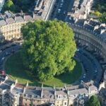 Bath: Guided tour of Historic Sights & Pubs - Who Will Love This Tour?
