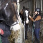 Beach & countryside horse riding outside Westport. Guided. 1 hour - The Itinerary and What to Expect