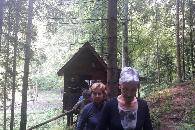 Bear Watching in The Wild from Brasov - Authentic Feedback from Participants