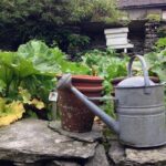 Beatrix Potter's Tour from Oxenholme Including Lake Cruise - How the Experience Feels