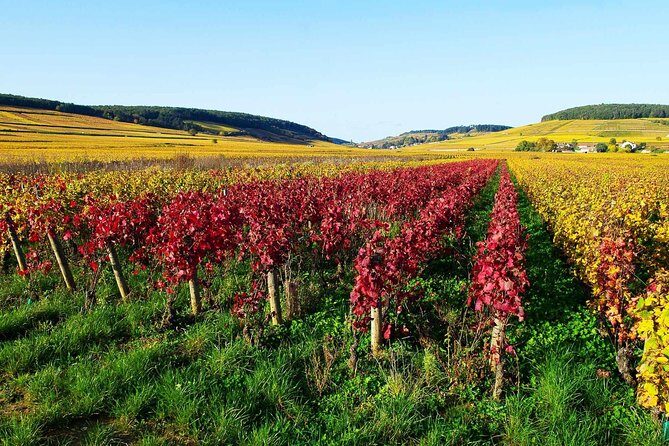Beaujolais 100% wine tour Small-Group Tour with Tasting from Lyon - The Value for Money