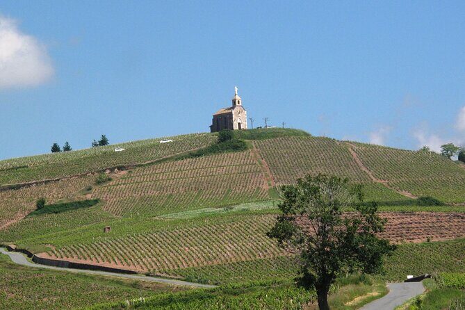Beaujolais Region Wine Tasting Private Day Tour from Lyon - The Experience Value