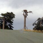 Beauty, Nature and Charm of Troodos Mountains from Paphos - Final Thoughts
