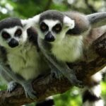 BeerBus Budapest - Sightseeing PRIVATE party tour - FAQs