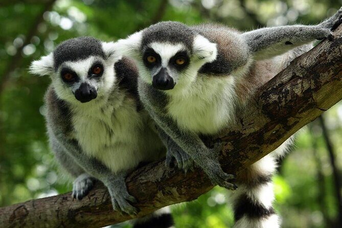 BeerBus Budapest - Sightseeing PRIVATE party tour - FAQs