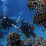 Belek Scuba Diving Experience (2 Dives) With Lunch - The Lunch and Onboard Amenities