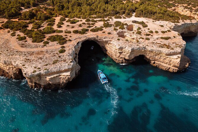 Benagil Caves and Dolphin Watching - 2.5h - Final Thoughts