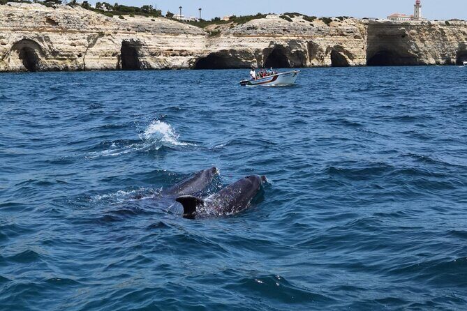 Benagil Caves Tour from Portimao - The Itinerary in Detail