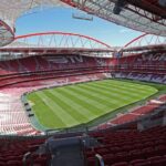 Benfica Stadium and Museum Private Tour - The Itinerary in Detail