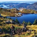 Bergen Classic Private hiking - Why This Tour Stands Out