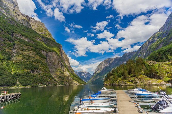 Bergen to Sognefjord Private Roudtrip with Cruise and Flasmbana - Analyzing the Experience: Pros and Cons