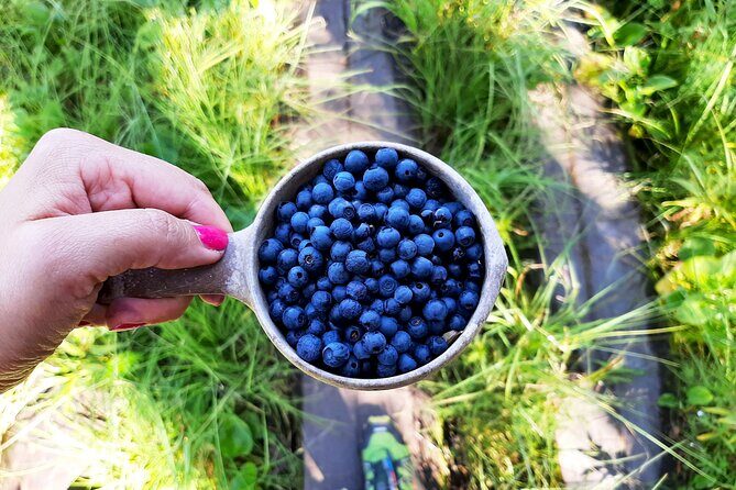 Berry Picking in a National Park - What Makes This Tour Special?