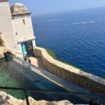 Best of Monaco Private Tour and Outlet Shopping Experience - Who Will Love This Tour?