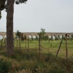 Best of Rome & Vatican Skip the line Private Tour - The Practicalities