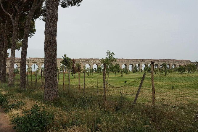 Best of Rome & Vatican Skip the line Private Tour - The Practicalities