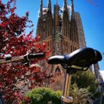 Bike and Sailing Tour in Barcelona - What Travelers Say: Authentic Insights