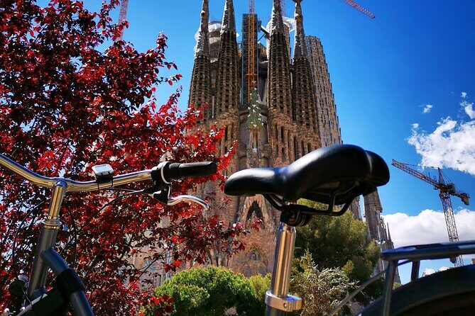 Bike and Sailing Tour in Barcelona - What Travelers Say: Authentic Insights