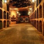 Biking a Guinness Book Winery - Final Thoughts: Is It Worth It?