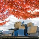 Bilbao, Guggenheim museum and the coastal villages - Is It Worth the Price?
