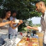 Biodynamic Farm and Natural Wines Tasting in Lazise - Analyzing the Value