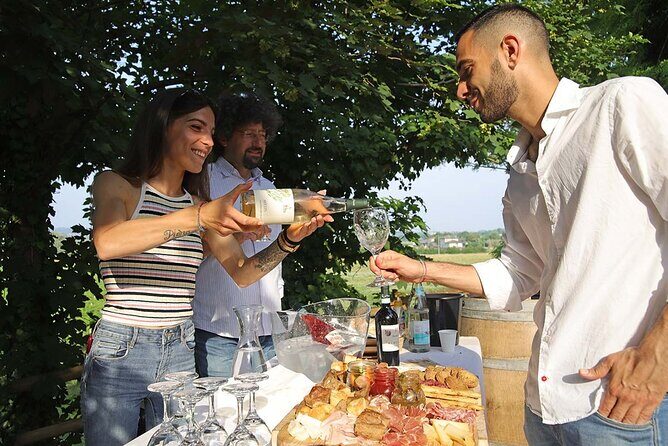 Biodynamic Farm and Natural Wines Tasting in Lazise - Analyzing the Value