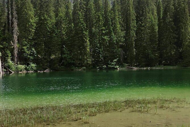 Biogradska Gora National Park Tour with Optional Add-Ons - Pricing and Value