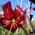 Biokovo Skywalk - Transportation, Group Size, and Overall Value