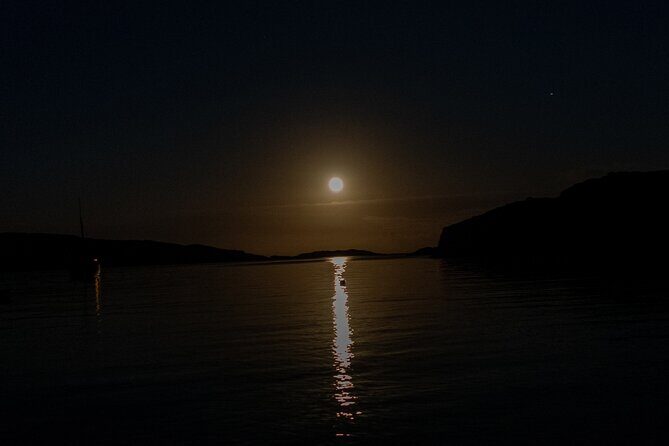 Bioluminescent Swim Experience in West Cork with Storytelling - The Experience Itself: What to Expect