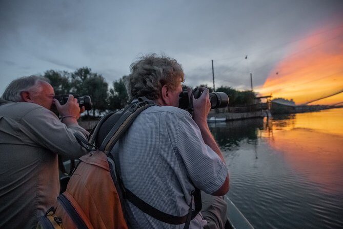 Birdwatching by boat in a small group in the Pialassa Baiona - Final Thoughts: Is This Tour for You?