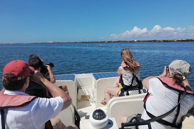 Birdwatching in Ria Formosa - Eco Boat Tour from Faro - FAQ