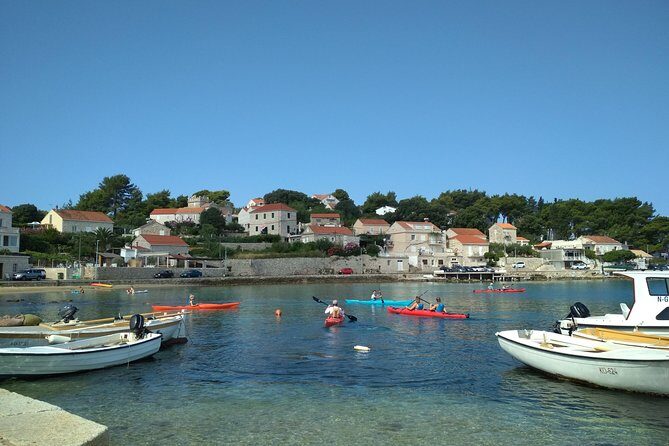 Bits of History - Half day kayak Tour with Wine delight - Who Will Love This Tour?