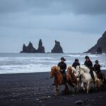 Black Sand Beach Horse Riding Tour from Vik - The Rider Experience