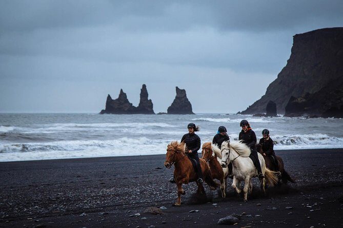 Black Sand Beach Horse Riding Tour from Vik - The Rider Experience