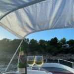 Boat Rental Without License Full day (8hs) - The Bottom Line