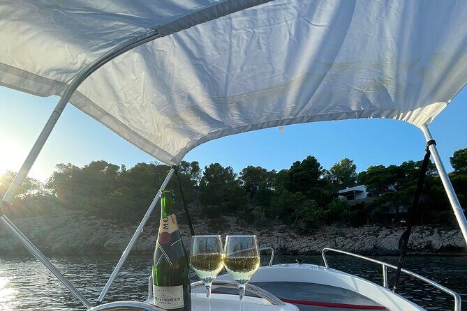 Boat Rental Without License Full day (8hs) - The Bottom Line