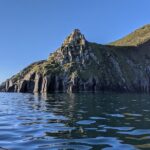 Boat Tour of Dingle Peninsula - The Experience: What Travelers Are Saying