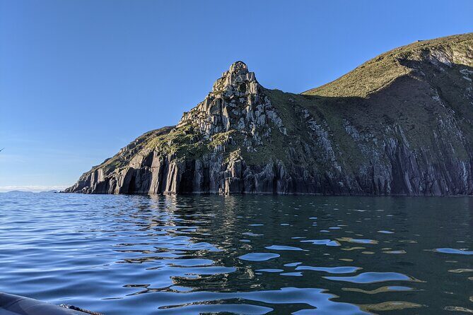 Boat Tour of Dingle Peninsula - The Experience: What Travelers Are Saying