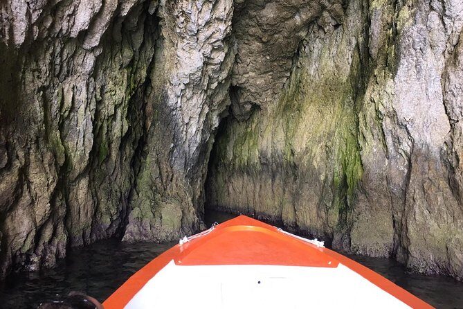 Boat tour of Ortigia Island and sea caves - Price and Value