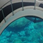 Boat trip along the Northwest Coast of La Palma - Who Will Love This Tour?