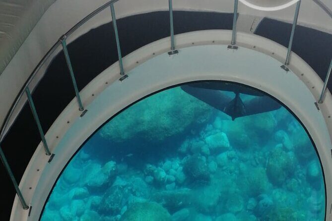 Boat trip along the Northwest Coast of La Palma - Who Will Love This Tour?