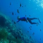 Boat trip and snorkeling in Villefranche - sur - Mer - Who Should Consider This Tour?