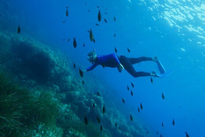 Boat trip and snorkeling in Villefranche - sur - Mer - Who Should Consider This Tour?