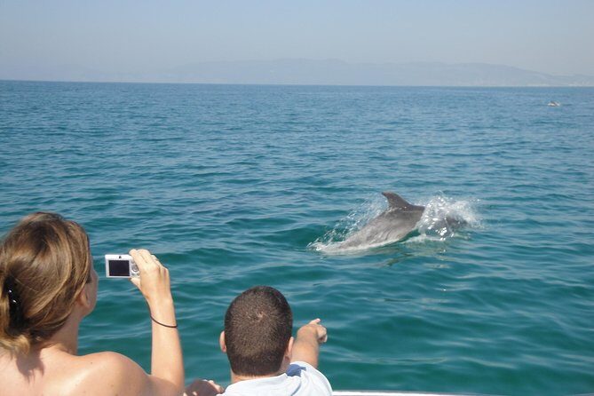 Boat Trip for Dolphin Watching along the Arrabida Coast and Sesimbra - The Experience in Depth