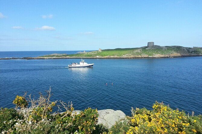Boat Trip from Howth to Dun Laoghaire - Who Is This Tour Best Suited For?