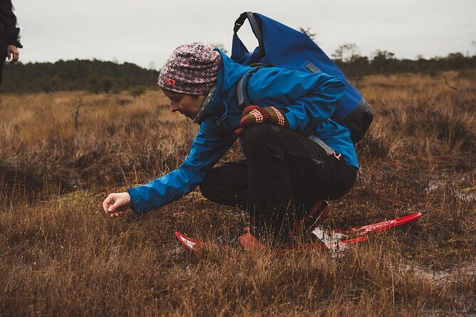Bog-shoe Hiking Tour - The Value of the Experience