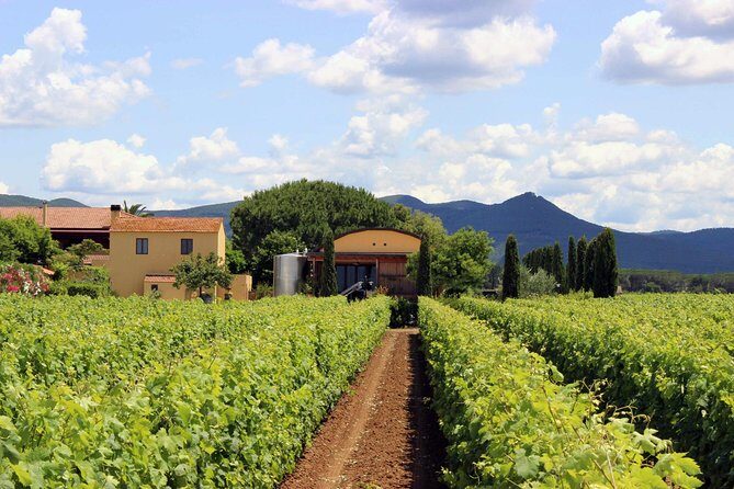 Bolgheri: Classic Wine Tasting with Winery Tour - The Value for Money