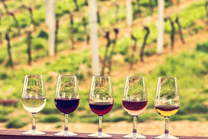 Bordeaux Cruise Port Shore Excursion: Full-Day Private Medoc Wine Tour - Whats Included and Whats Not