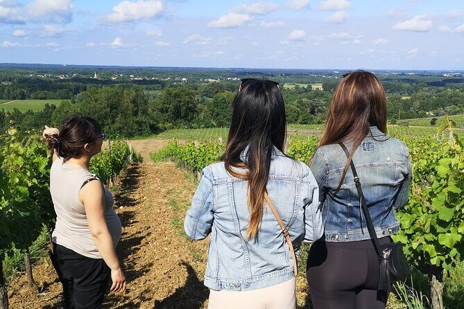 Bordeaux wine tour: 2 wineries (red & white wine) - Who Should Consider This Tour?
